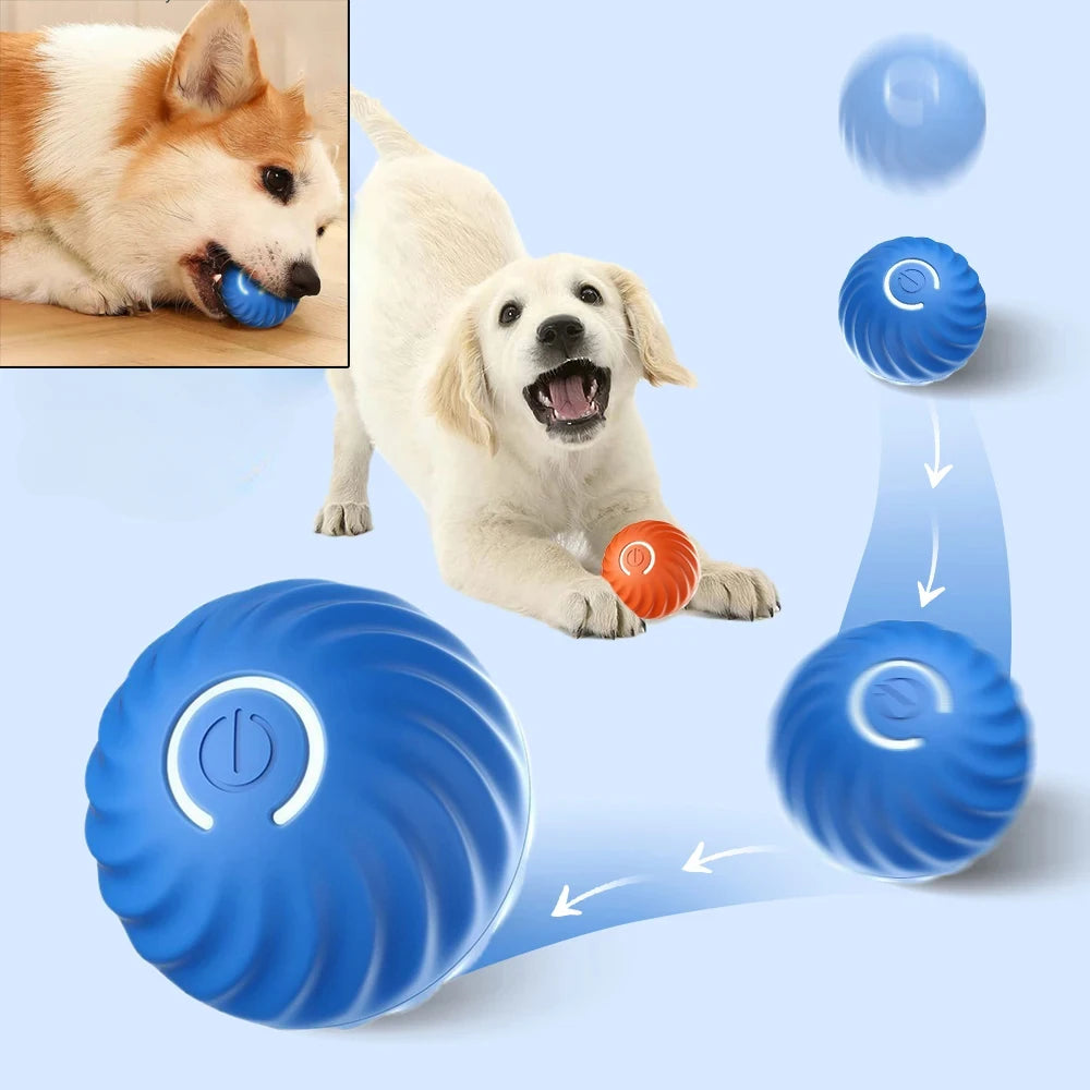 Automatic Dog chew Toy