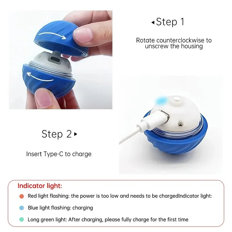 Automatic Dog chew Toy