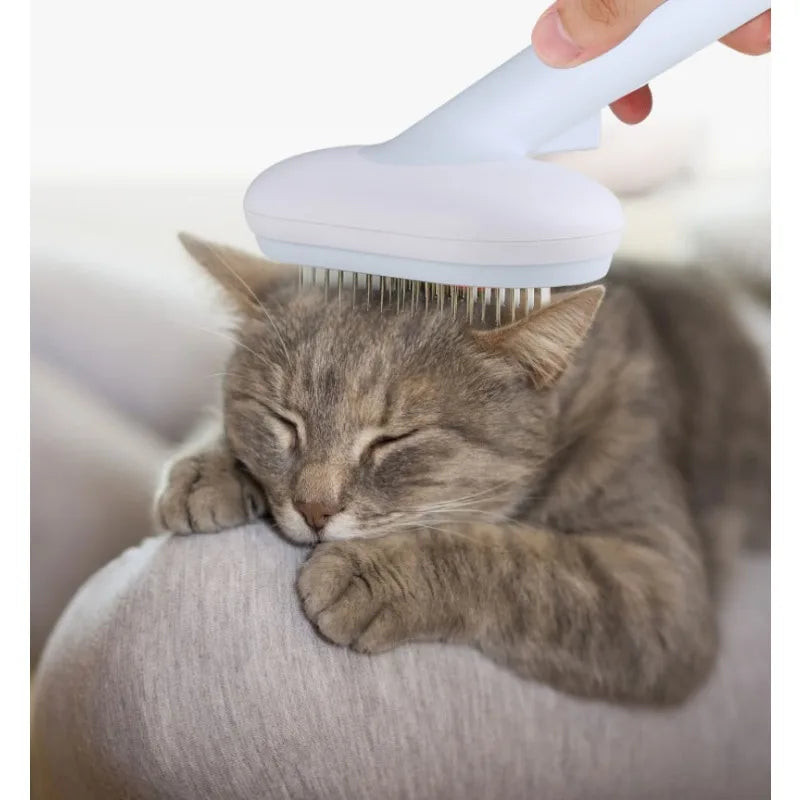 Pet Hair Removal brush